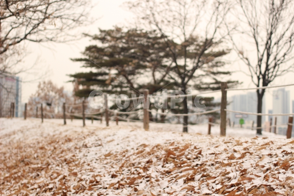 공원,산책길,낙엽,가을,눈길,겨울,계절,winter,season,자연,풍경,nature,landscape