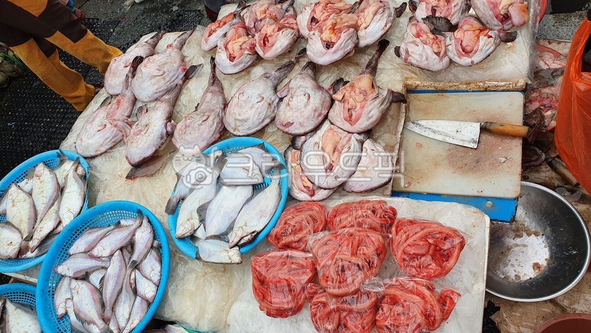 수산시장,시장,한국시장,해산물,물고기,fish,fishmarket,마트,market,마켓,mart,marketplace,음식,식재료,요리,food,cook,meal,dishes,foodreserves,수산물,fisheryproducts,seafood