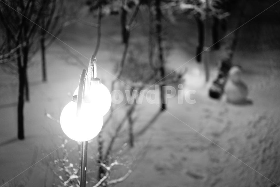 눈사람,겨울,눈,외로움,고독함,쓸쓸함,전등,가로등,겨울풍경,겨울,계절,winter,season,야경,밤,풍경,nightscape,night,landscape,흑백,모노톤,monochrome,black and white,nature,자연,outdoors,옥외,lamp,램프