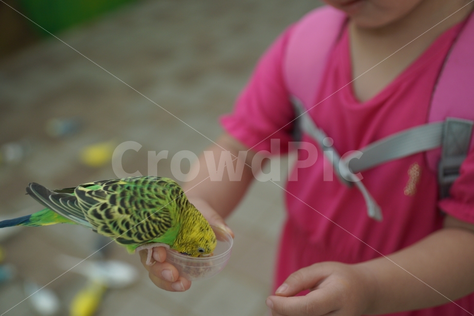 딸,딸바보,데이트,체험,새모이,새,모이주기,고사리손,대전아쿠아리움,새체험관,안우는게다행,동물,animal,조류,새,birds,사람,인물,인간,human,person,신체일부,몸,body,어린이,어린아이,child,children,kid