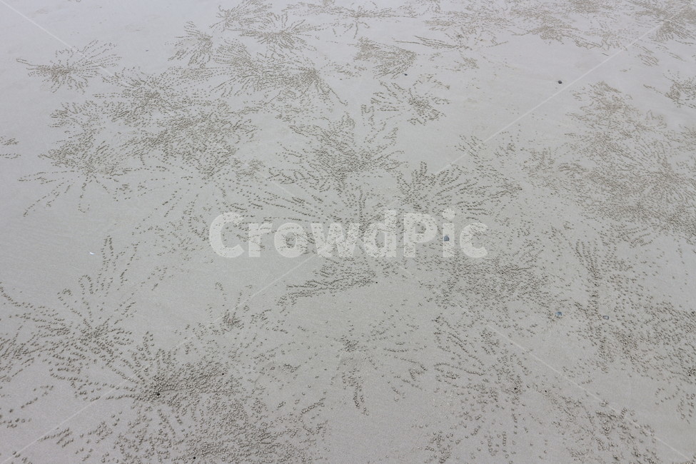 백사장,꽃게길,바닥,문양,해변,바다,감성,패턴,sandybeach,beach,pattern,design