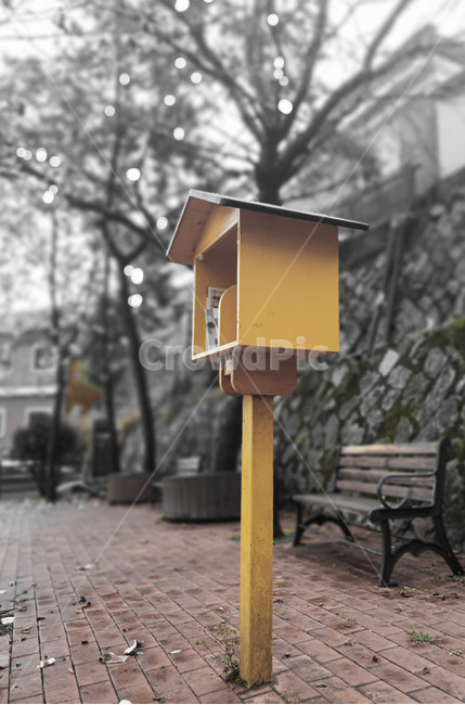 벤치,가구,우체통,봄,벚꽃,공원,야외,책대여,북공원,책장,노란,bench,furniture,book