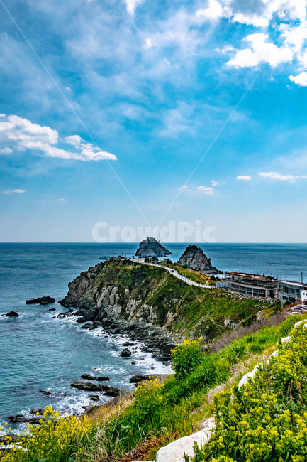 오륙도,바다,섬,유채꽃,꽃밭,자연,풍경,nature,landscape,한국자연풍경,한국자연경관,korea nature landscape,promontory,곶,ocean,대양,sea,water,물,outdoors,옥외,shoreline,해안선,land,땅