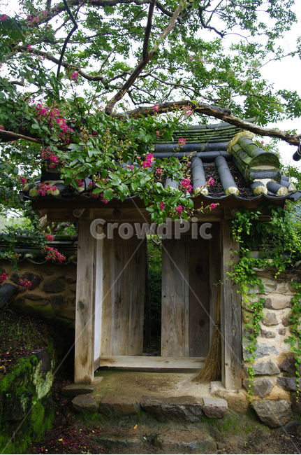 한옥,전통가옥,기와지붕,traditional,식물,plant,나무,배롱나무,문,한국전통,한국문화,korean traditional,korean culture,건축물,건물외관,exterior,building,structure,architecture,construction