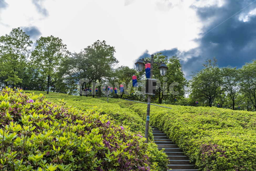 절쭉동산,공원,풍경,하늘,구름,힐링,계단,자연,풍경,nature,landscape,한국자연풍경,한국자연경관,korea nature landscape,outdoors,옥외