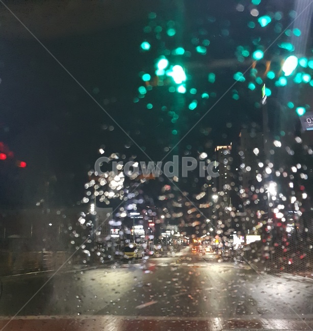 비오는거리,자동차,여릅,비,네온,비,비오는날,rain,rainy