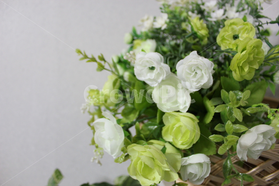 노랑색,백색,식물,바구니,꽃,flower,꽃꽂이,flowerarrangement