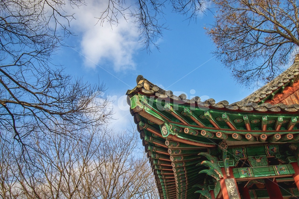 건물,건축물,building,architecture,전주,한옥,기와,처마,한국전통,한국문화,korean traditional,korean culture,건축물,건물외관,exterior,building,structure,architecture,construction