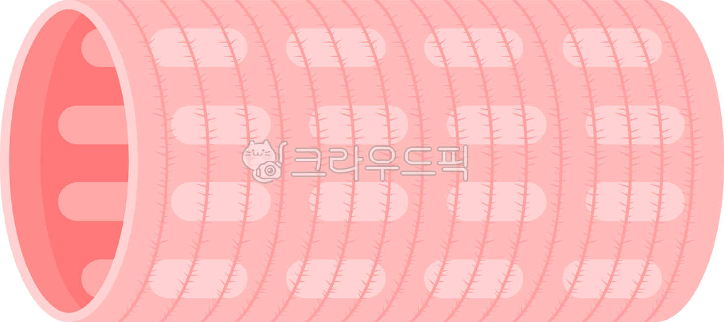 구르프,헤어롤,앞머리롤,미용실,미용소품,미용