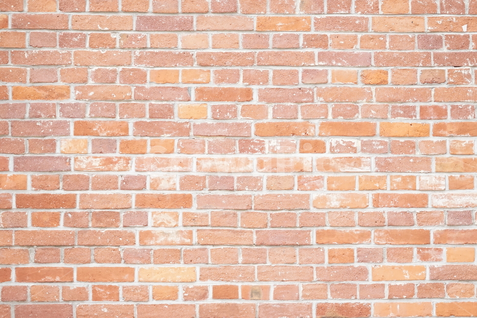 wall,벽,brick,벽돌,담,건축물,건물외관,exterior,building,structure,architecture,construction