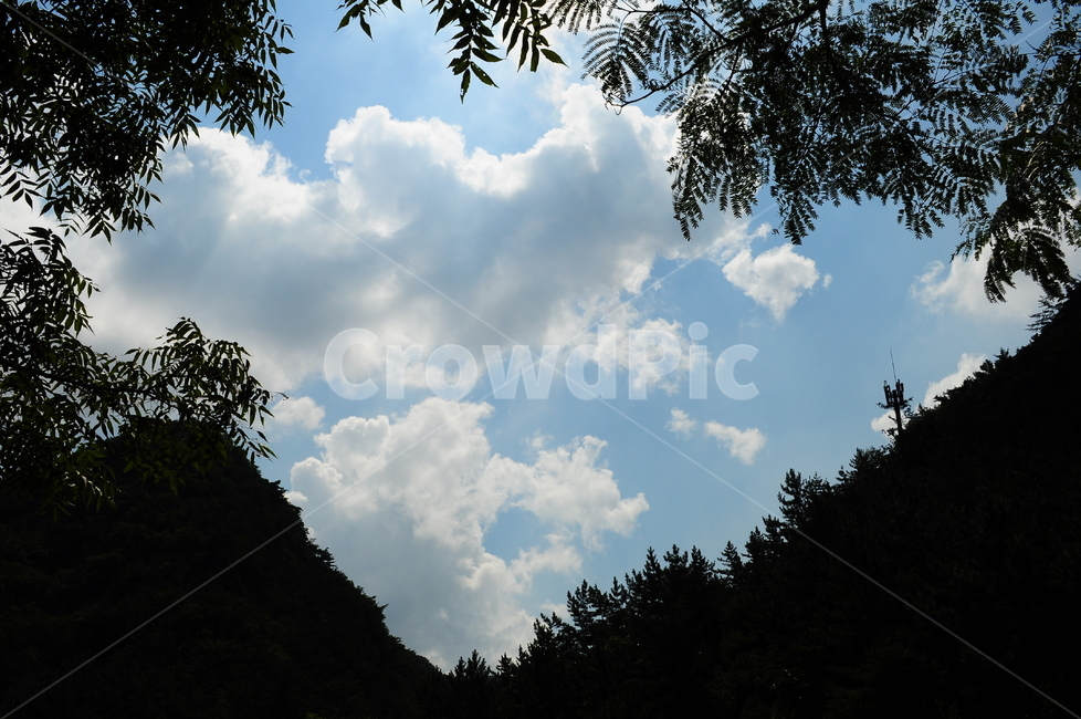 하늘,산,나무,구름,자연,자연,풍경,nature,landscape,weather,날씨,outdoors,옥외,cumulus,적운,sky,cloud