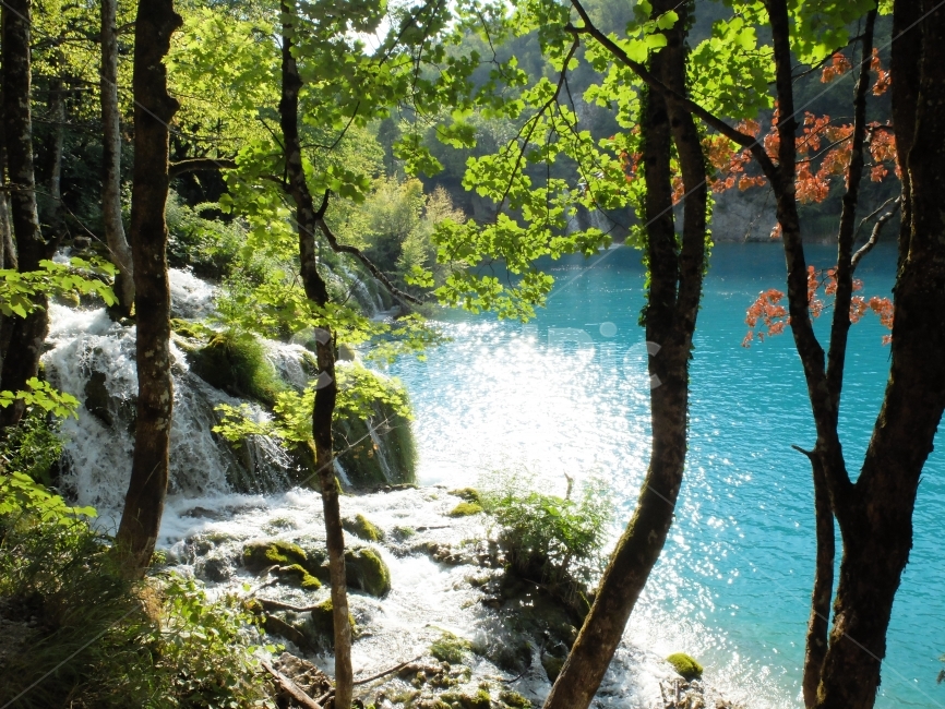 자연,풍경,크로아티아,플리트비체,plitvice,자연,풍경,nature,landscape,해외,외국,세계,foreign,oversea,world,세계자연풍경,해외자연풍경,외국자연풍경,world nature landscape,휴식,힐링,rest,relaxation,healing,water,물,outdoors,옥외,river,강,plant,식물,tree,나무
