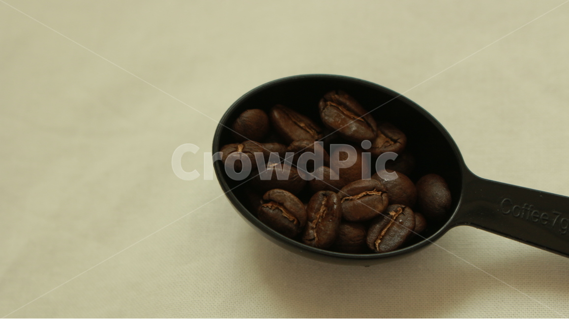커피,원두,생두,음식,커피콩,누끼,음료,볶음,스푼,카페인,자연,계절,갈색,카페coffee,cafe,연출,컨셉,콘셉,과테말라,커피,카페,coffee,cafe