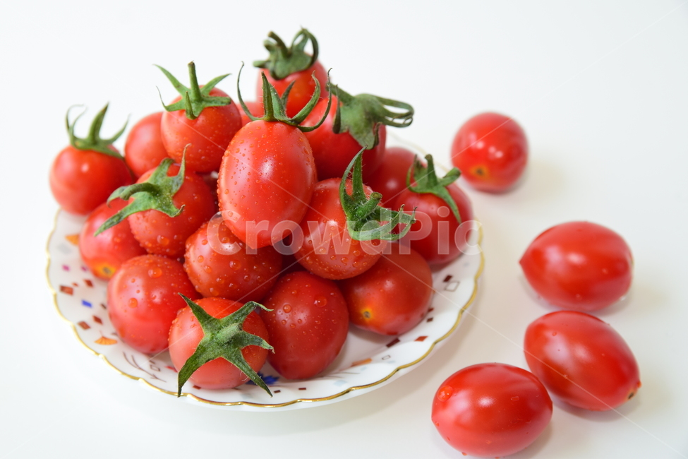 토마토,방울토마토,꼭지,접시,빨강,빨간,잘익은,맛있는,음식,식재료,tomato,red,delicious,food,dessert,디저트,후식,음식,식재료,요리,food,cook,meal,dishes,food reserves,과일,열매,fruit,연출,컨셉,콘셉,direction,concept