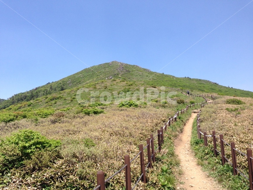 한라산,등산,자연,정상,산책,등산로,하늘,산,산기슭,자연,풍경,nature,landscape,제주도,jeju,jeju island,outdoors,옥외