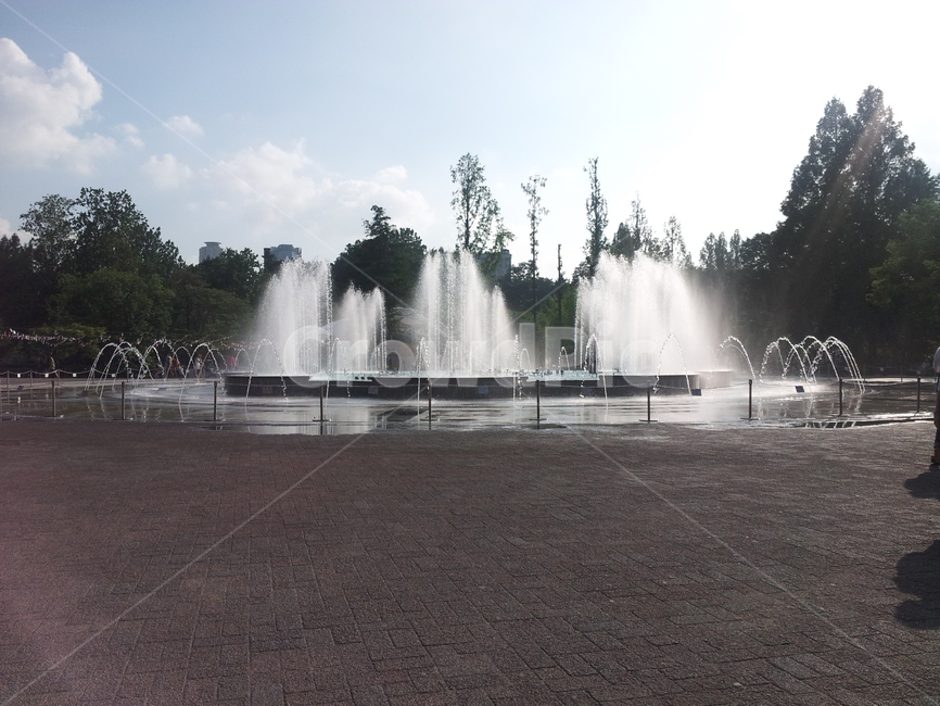 water,물,fountain,분수,어린이대공원,어린이대공원분수