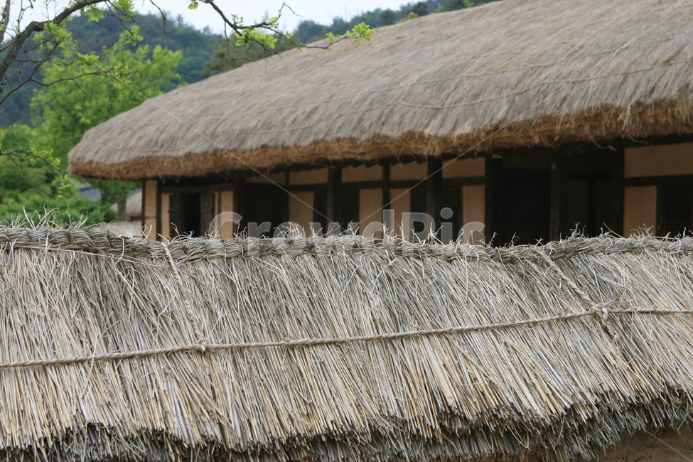 초가,초가집,전통가옥,한국전통가옥,전통,한국전통,한국문화,korean traditional,korean culture,건축물,건물외관,exterior,building,structure,architecture,construction