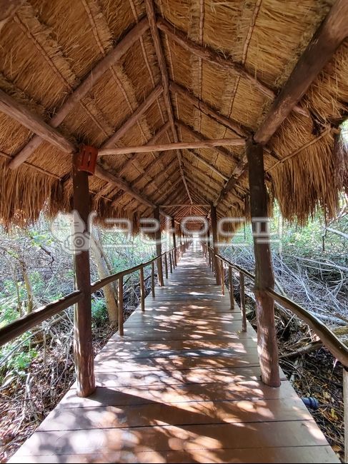 보도,주택,길,건축학,건물,정원,옥외