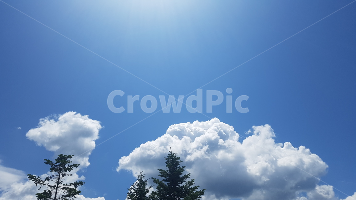 하늘,nature,sky,구름,낮