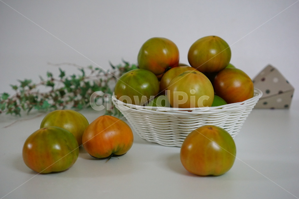 토마토,과일,맛있는과일,과일토마토,여름과일,음식,식재료,요리,food,cook,meal,dishes,food reserves,채소,야채,vegetables,연출,컨셉,콘셉,direction,concept