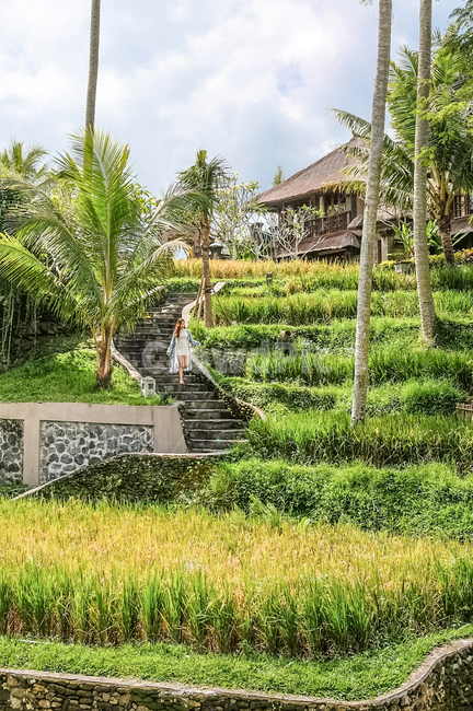 garden,정원,outdoors,옥외,사람,휴양지,논밭,ricefield,발리,여름,계절,summer,season,여행,휴가,traveling,vacation,trip