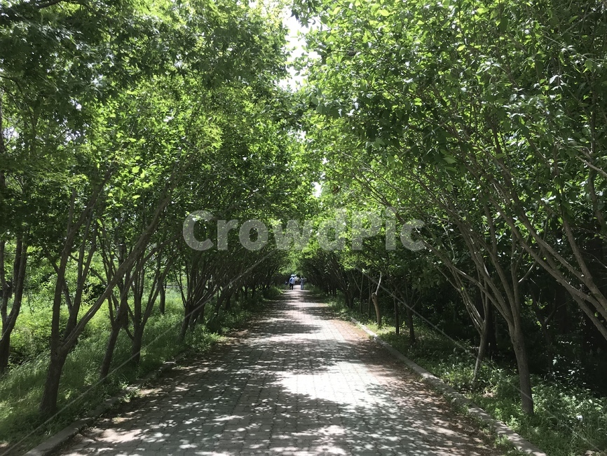 경주,산림문화원,숲,나무,풍경