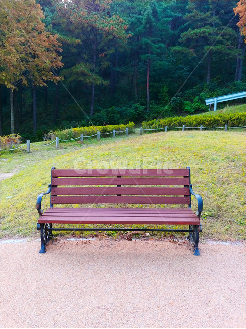 공원,벤치,의자,숲속,숲,자연,놀이터,휴식,나무,잔듸,가을,사물,물건,오브젝트,thing,object,matter