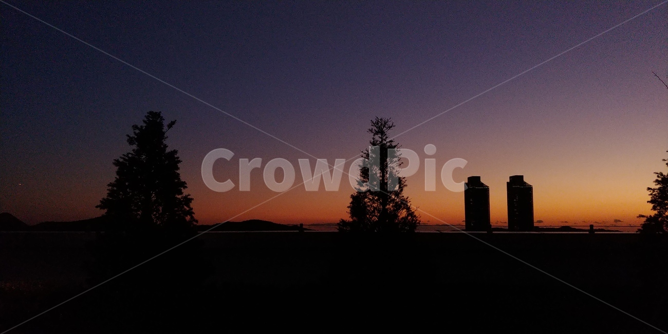 하늘,밤하늘,풍경,야경,노을,해질녘,저녁,석양,자연,경치,sunset,sky,nature,따듯한,운치있는,분위기있는,그림같은,도시,풍경,city,landscape,실루엣,그림자,silhouette,shadow,tree,나무,plant,식물,fir,전나무