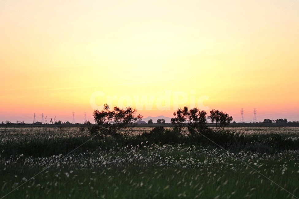 노을사진,해넘이사진,일몰사진,항금빛일몰,풍경사진,감성사진,자연,풍경,nature,landscape,한국자연풍경,한국자연경관,korea nature landscape,plant,식물,grass,잔디,outdoors,옥외