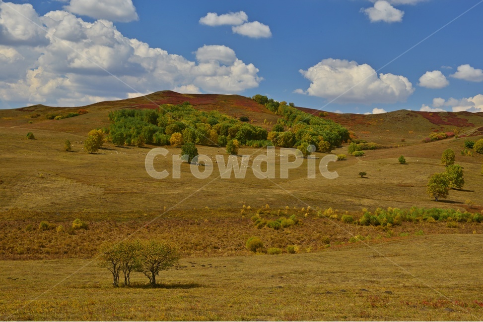 ground,바닥,outdoors,옥외,grassland,목초지,field,들,landscape,경치,nature,자연,scenery,풍경,중국,몽고,패상,패상가을,하늘,구름,자연,풍경,nature,landscape