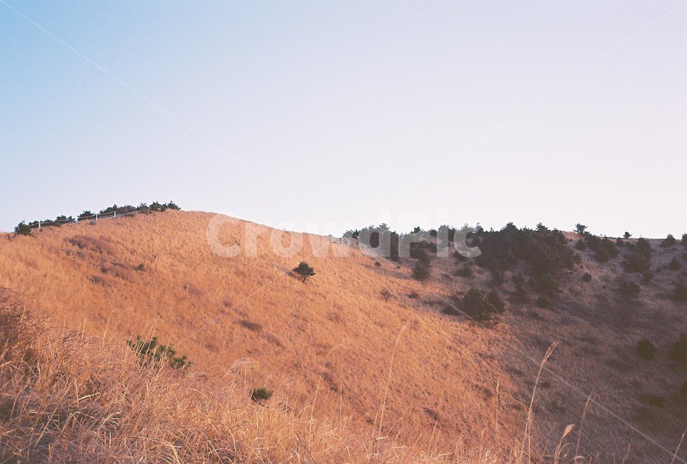 용눈이오름,들판,가을,봄,제주,해돋이,가을,계절,fall,autumn,season,자연,풍경,nature,landscape,한국자연풍경,한국자연경관,korea nature landscape,제주도,jeju,jeju island,outdoors,옥외,grassland,목초지,field,들
