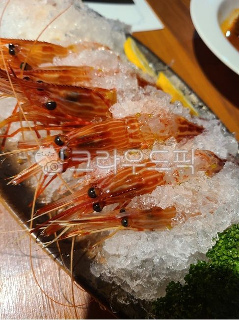 닭새우,꽃새우,도화새우,독도새우,생새우,해물,일식,음식,shrimp,seafood,food