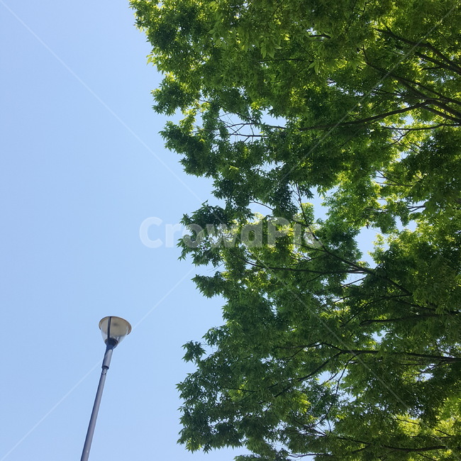 날씨좋은날,깨끗한,맑은,푸른,clear