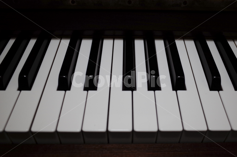 music,악기,음악,piano,피아노,keyboard,키보드,건반,그랜드피아노,grandpiano,흰건반,검은검반,키,악기,음향기기,musical instrument,musical equipment