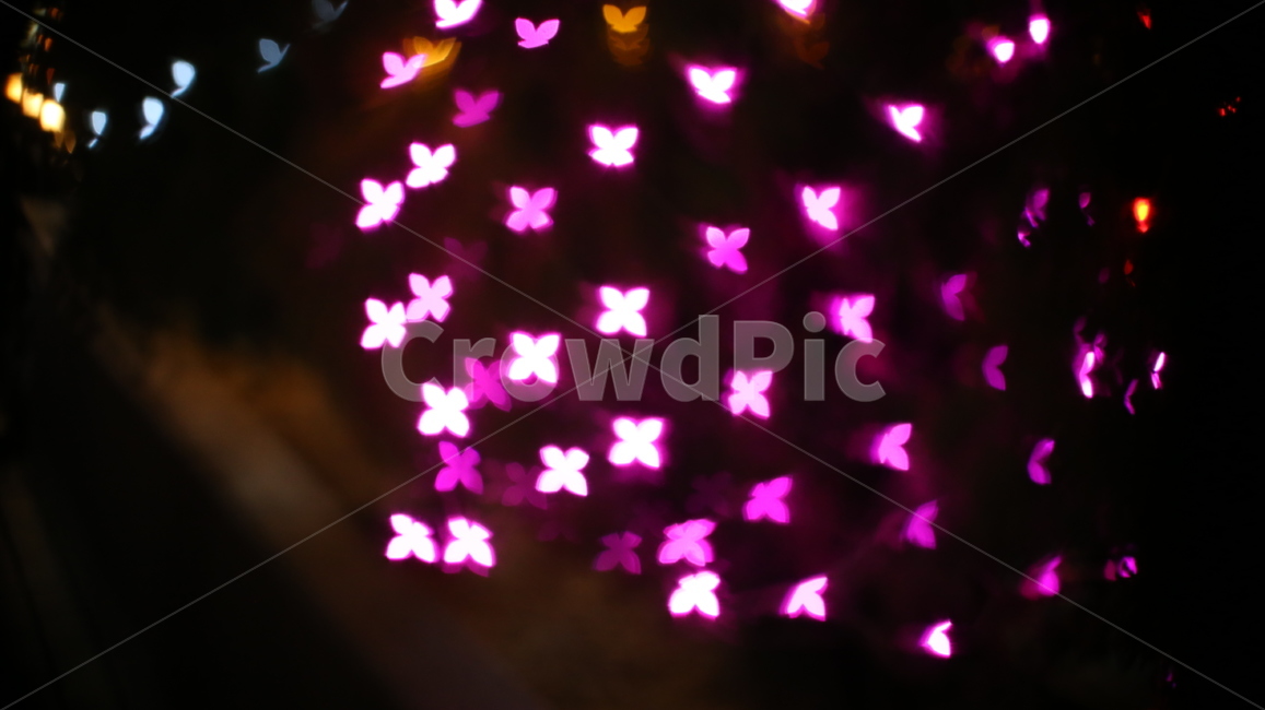 조명불빛,light,보케,bokeh,조명,꼬마전구
