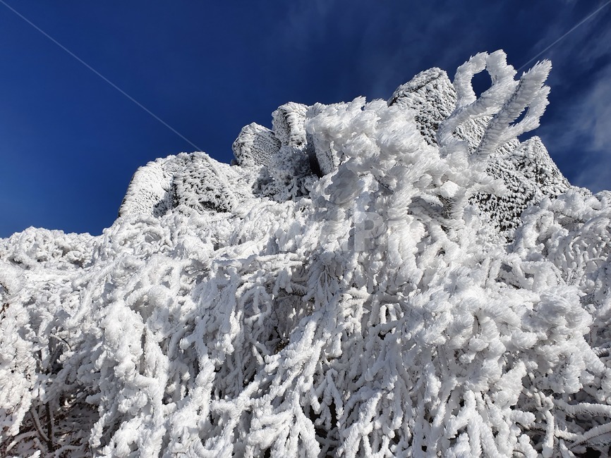 설산,눈,눈꽃,snowmountain,suricacid,tree,나무,plant,식물,outdoors,nature,자연,빙,ice,덕유산,겨울,계절,winter,season
