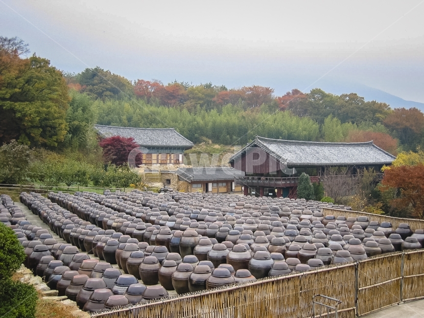 장독,장독대,서운암,통도사,crock,전통,한국,향토,tradition,한국전통,한국문화,korean traditional,korean culture