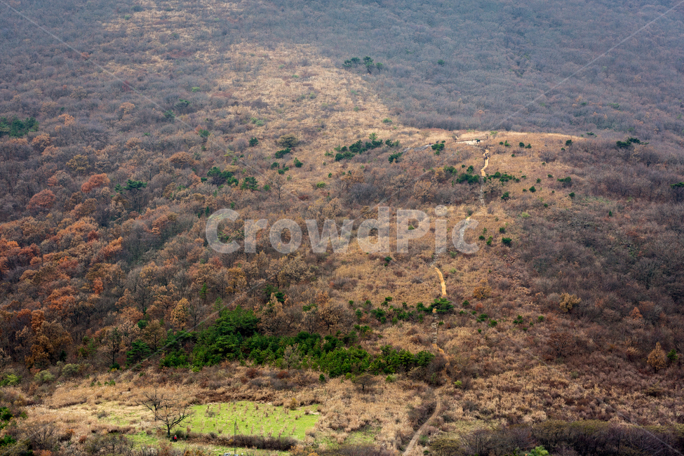 무등산,나무,숲,산길,산,억세,가을,계절,fall,autumn,season,자연,풍경,nature,landscape,한국자연풍경,한국자연경관,korea nature landscape,경치,outdoors,옥외,scenery,land,땅