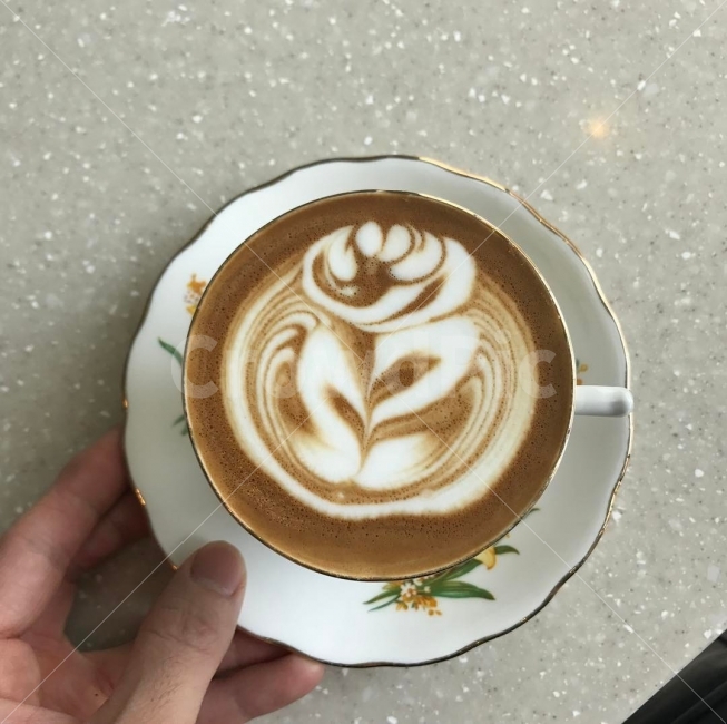 라떼아트,꽃,로즈,플라워,라떼,사람,인물,인간,human,person,커피,카페,coffee,cafe