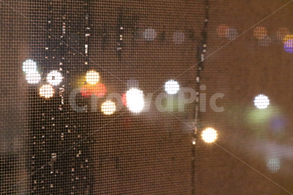비,조명,불빛,감성,야경,도로,빗물,방충망,야경,밤,풍경,nightscape,night,landscape,비,비오는날,rain,rainy,nature,자연