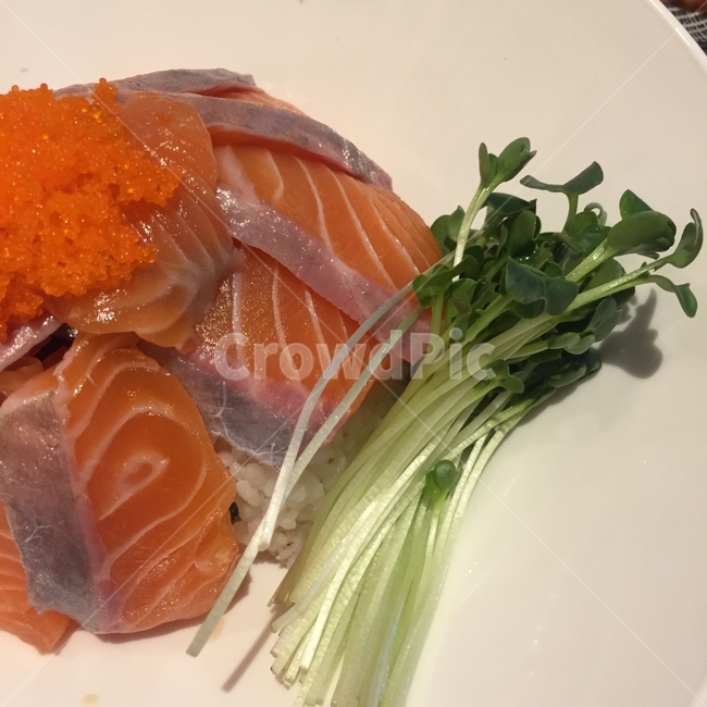 음식,food,salmon,연어,연어덮밥,스시,sushi,음식,식재료,요리,food,cook,meal,dishes,food reserves