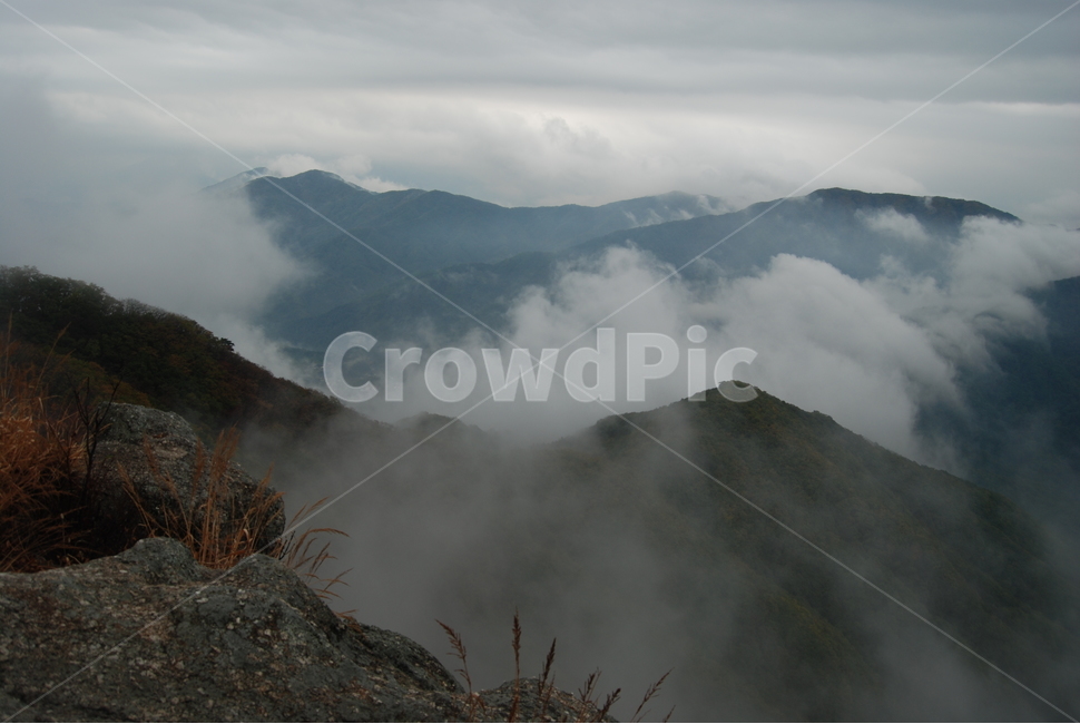 축령산,안개,휴양림,가을,탐방로,자연,풍경,nature,landscape,한국자연풍경,한국자연경관,korea nature landscape,weather,날씨,outdoors,옥외,mountain,산,mountain range,산맥