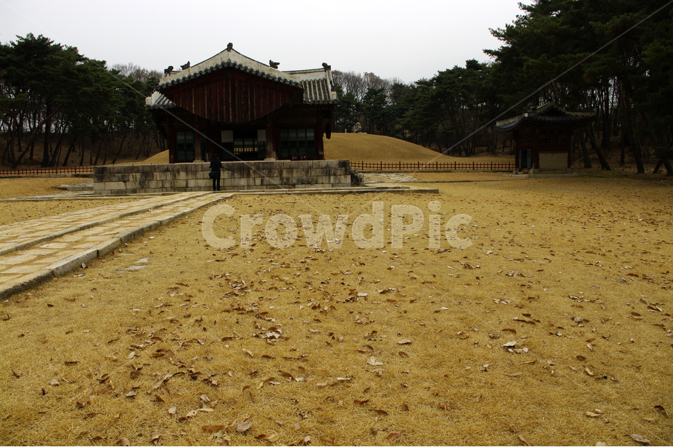 왕릉,전각,조선,한국,전통,문화유산,릉,한국전통,한국문화,korean traditional,korean culture,랜드마크,landmark,tourist attraction,한국랜드마크,한국관광지,한국명소,korea landmark,korea tourist attraction