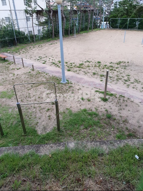 공터,철봉,철장,잡초,산,자연,운동기구,건물