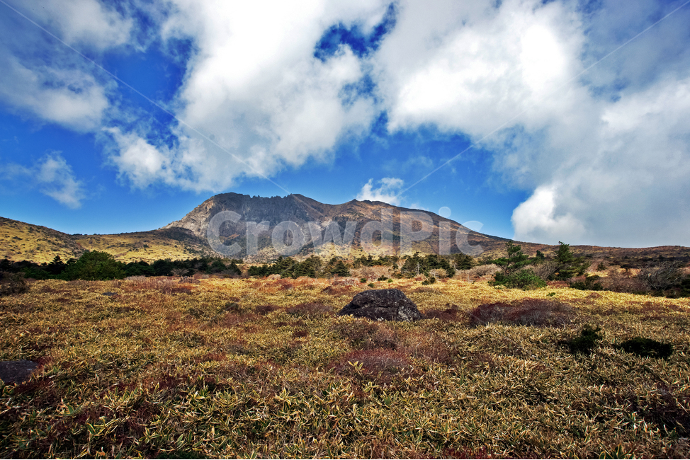 한라산,제주도,명산,가을,계절,자연,돈내코코스,조릿대,자연,풍경,nature,landscape,한국자연풍경,한국자연경관,korea nature landscape,제주도,jeju,jeju island,outdoors,옥외,plateau,고원
