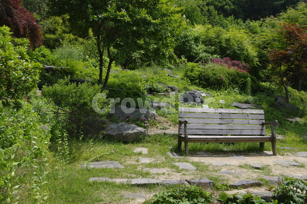 초록,나무,잎,식물,plant,계절,봄,spring,의자,자연,풍경,nature,landscape,bench,벤치