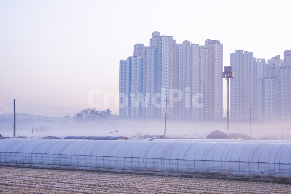농사,비닐하우스,아파트,도시,농촌,안개,새벽,밭,도시,풍경,city,landscape,한국도시풍경,한국도시경관,korea cityscape,산업,industry,industrial,농업,농사,agriculture,farming,farming industry,urban,어반,시티,high rise,고층 건물,town,building,건물