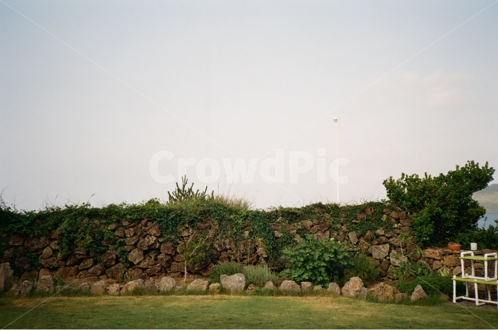 제주,제주도,담벼락,돌담,필카,필름카메라,제주도,jeju,jeju island,plant,식물,grass,잔디