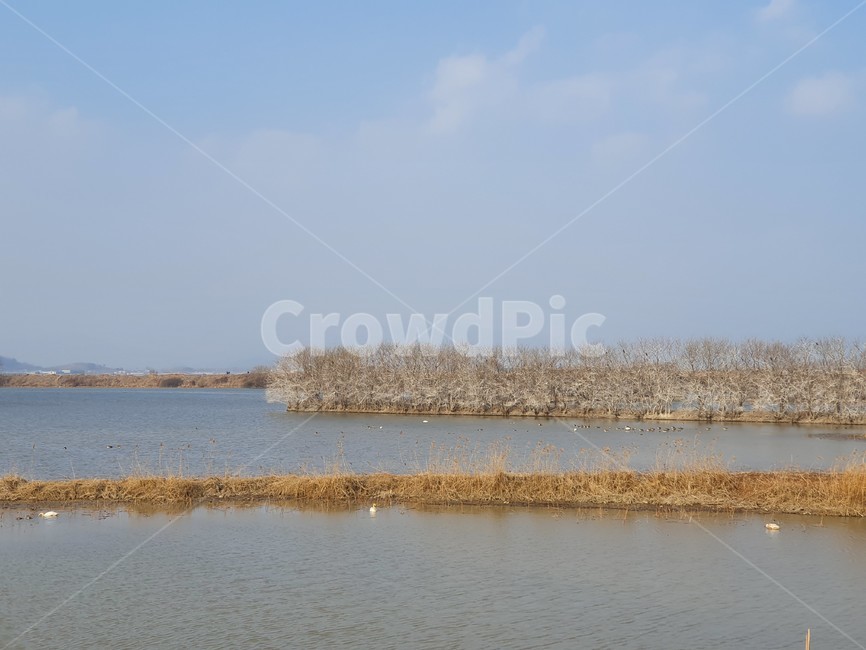 창원,주남저수지,저수지,풍경,물