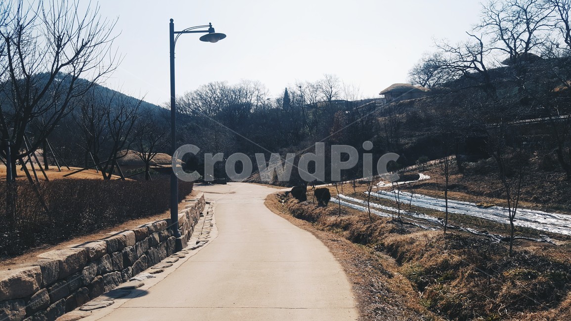 시골,길,가로등,촌길,한적한,풍경,경주